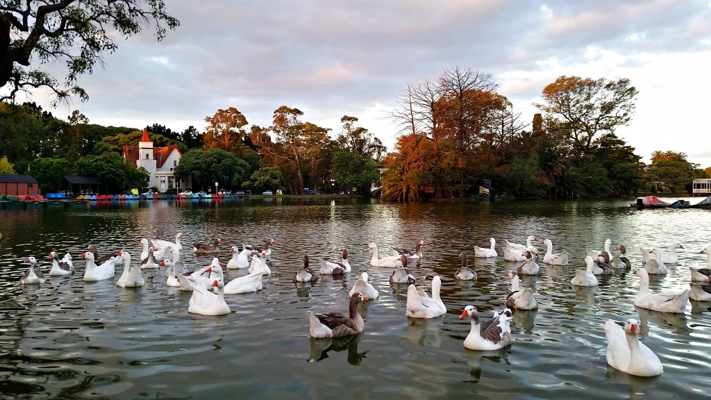 Buenos Aires