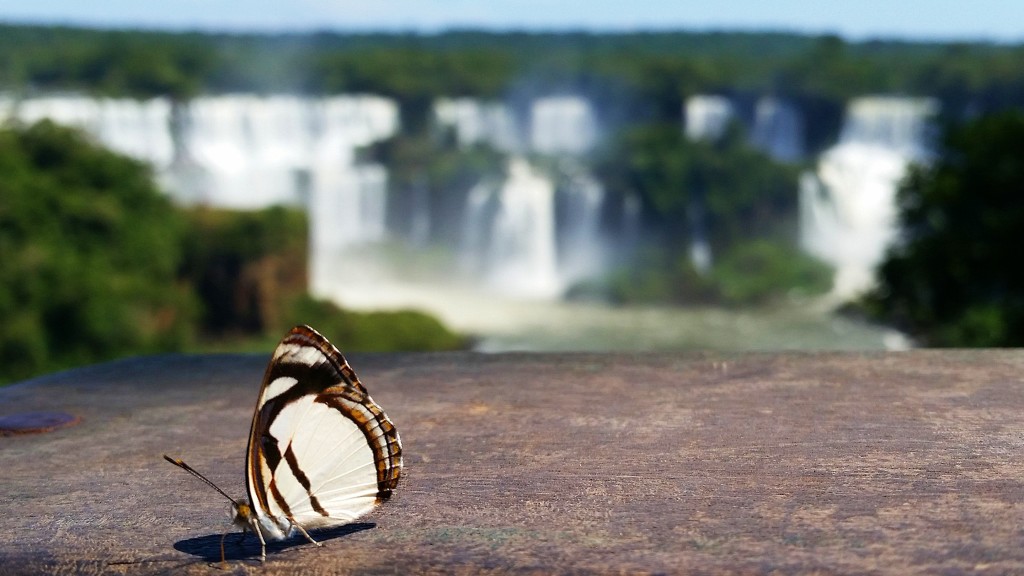 what to see in iguazu falls