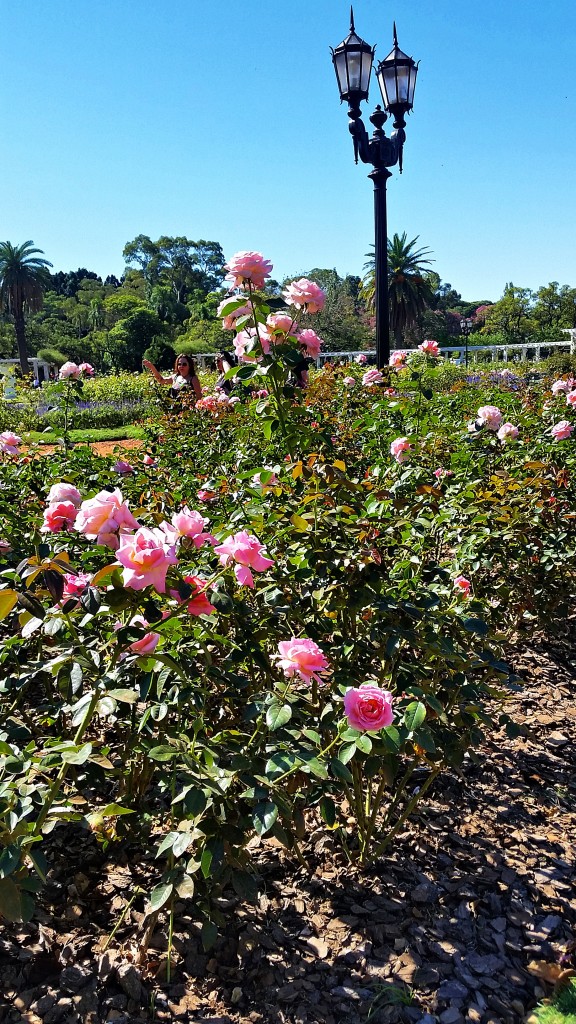 Rosedal, Buenos Aires