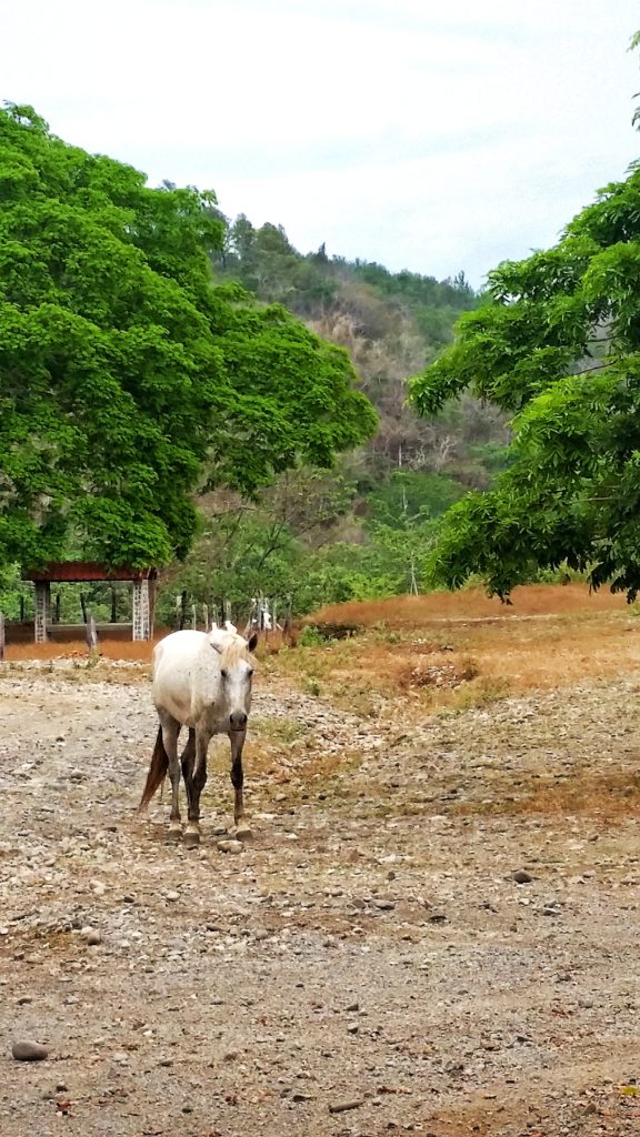 Costa Rica