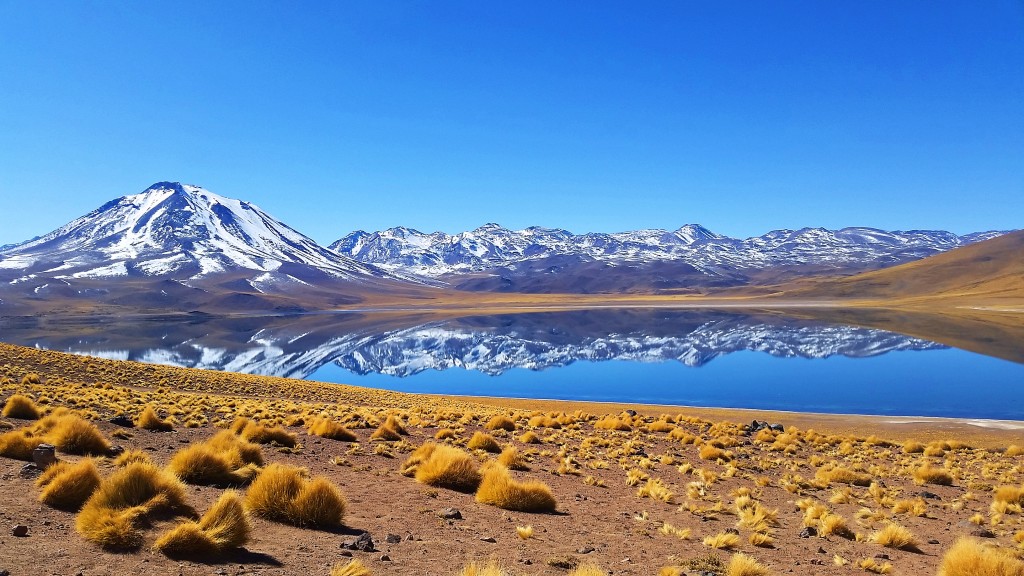 Laguna Miscanti, Chile