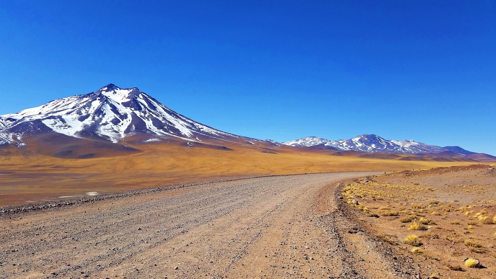 Laguna Miñiques, Chile