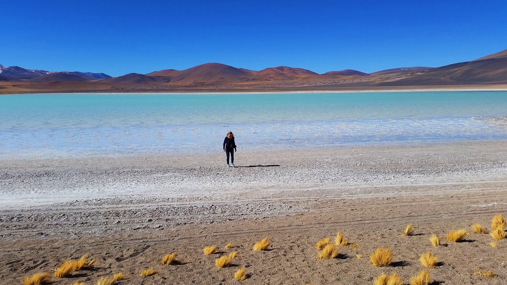 Laguna Miñiques, Chile