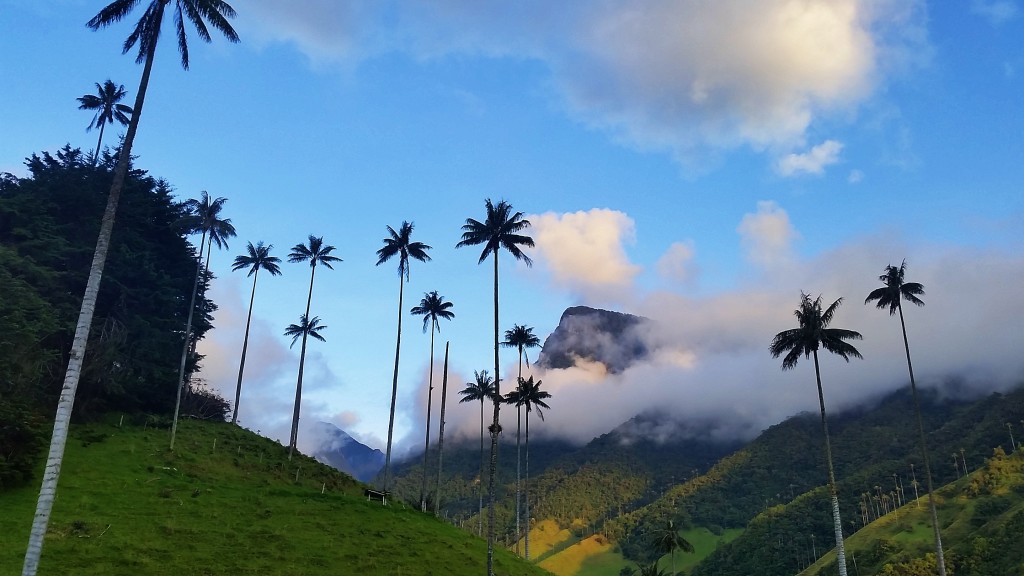 Valle de Cocora, Colombia