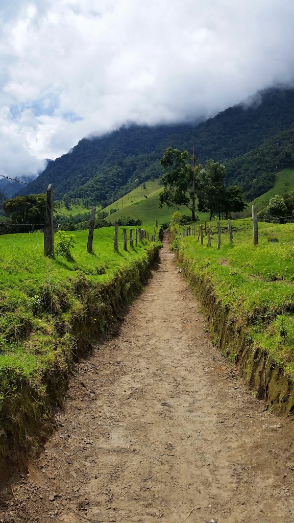 Valle de Cocora, Colombia