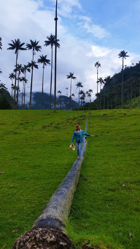 Valle de Cocora, Colombia