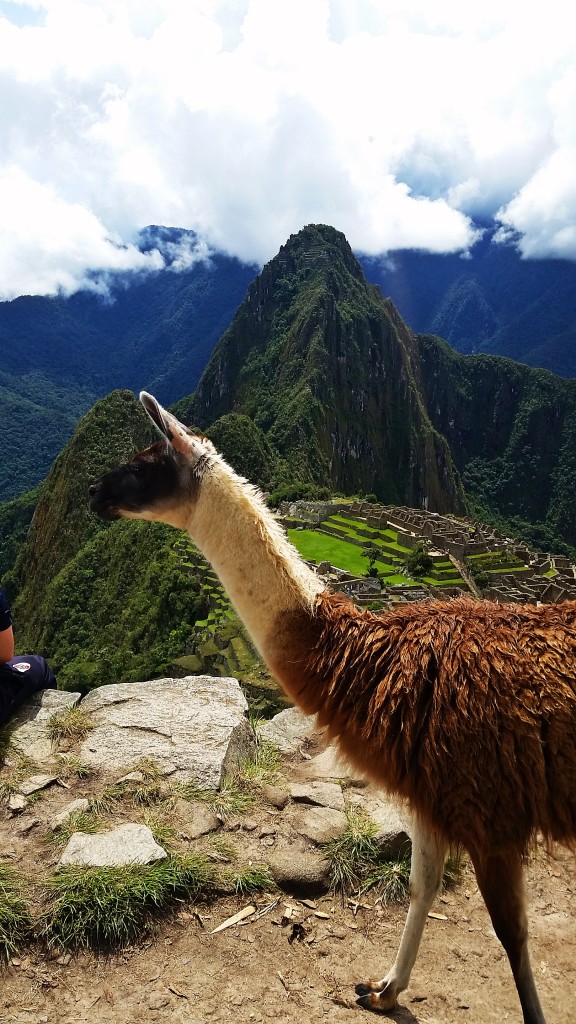 Machu Picchu, Peru