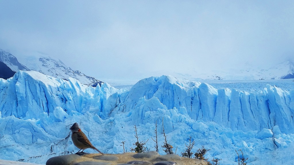 Perito Moreno