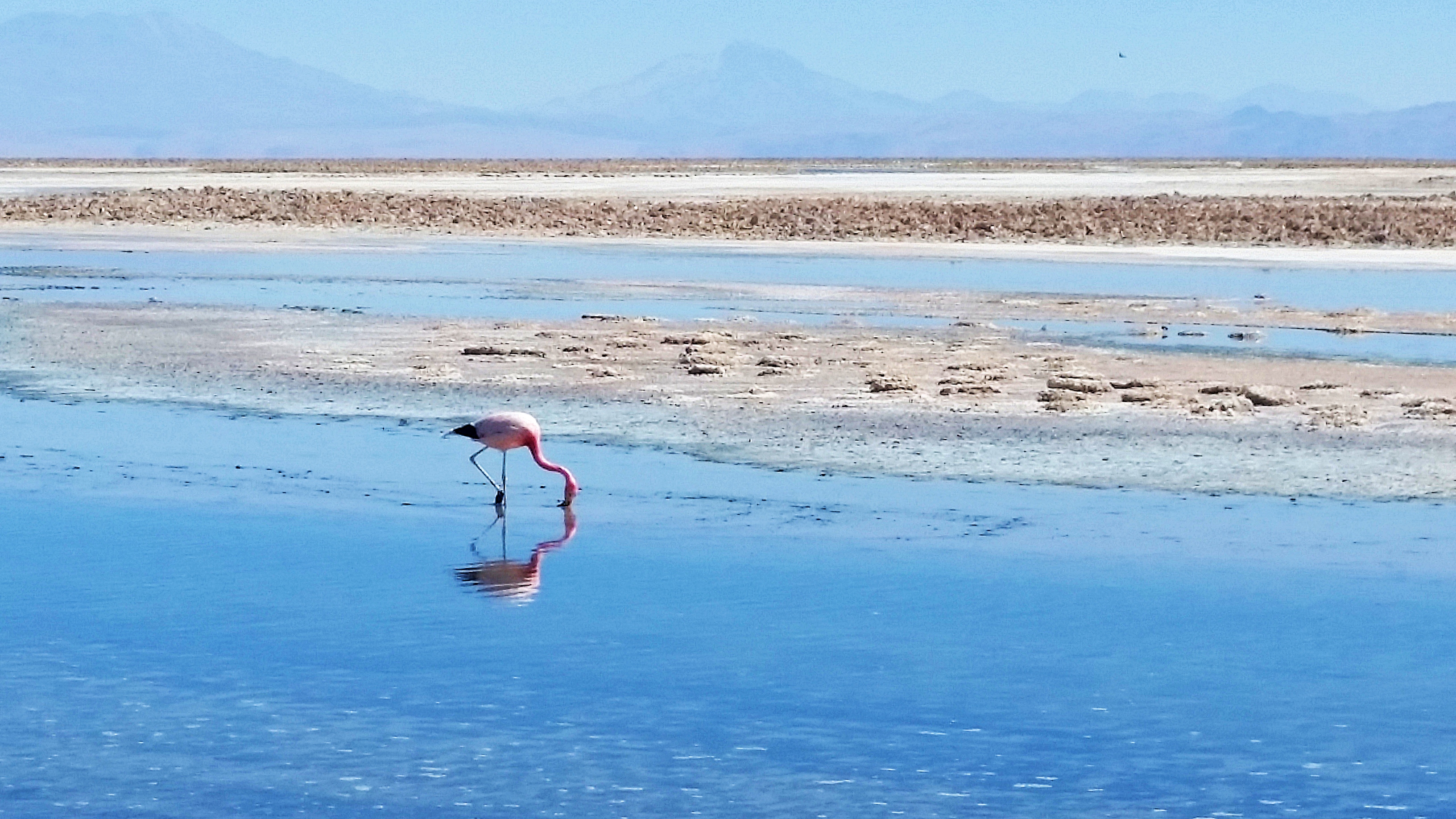 San Pedro de Atacama, Chile