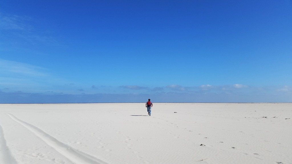 Pan de Azucar, Chile