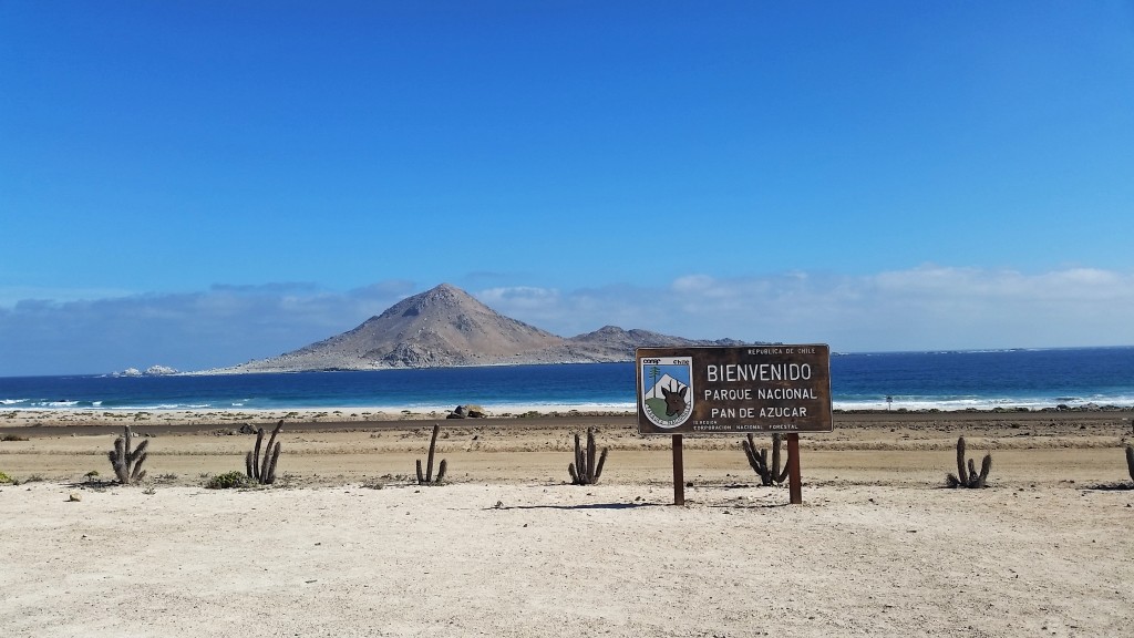 Pan de Azucar, Chile