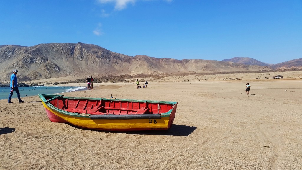 Pan de Azucar, Chile