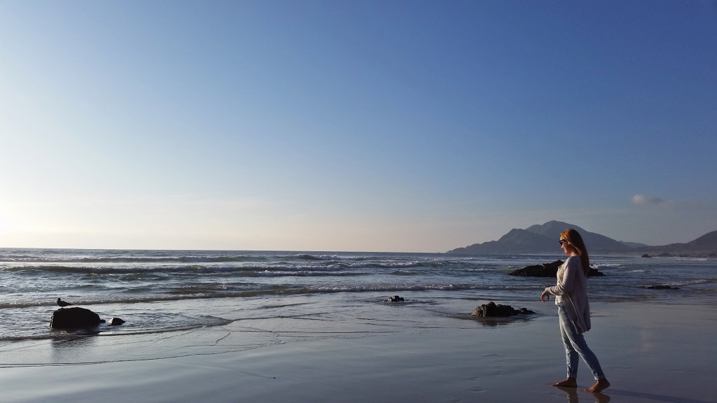 Pan de Azucar, Chile