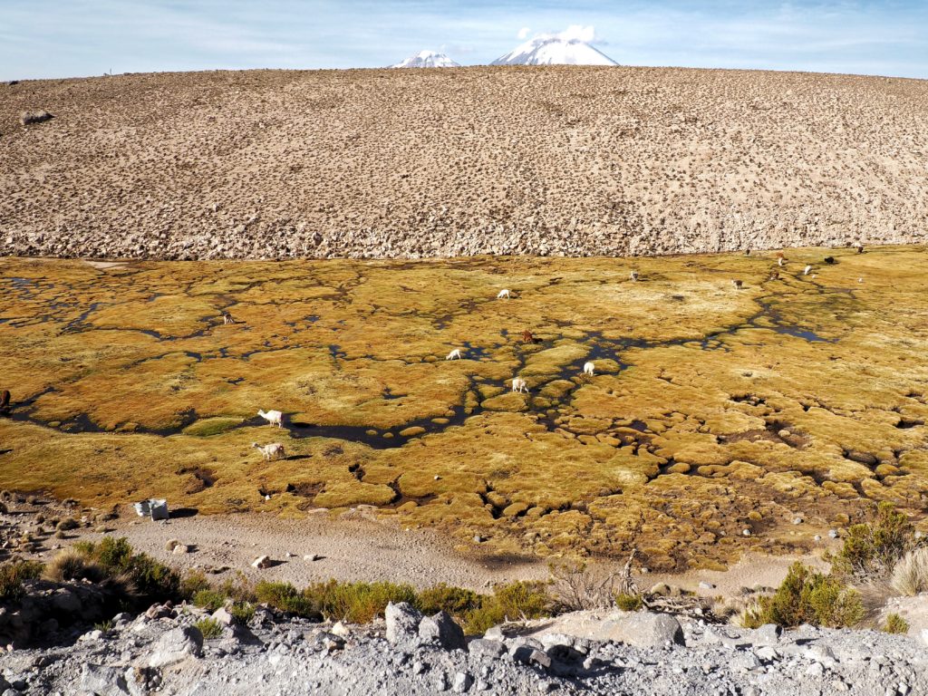 road trip to Lago Chungara, Chile