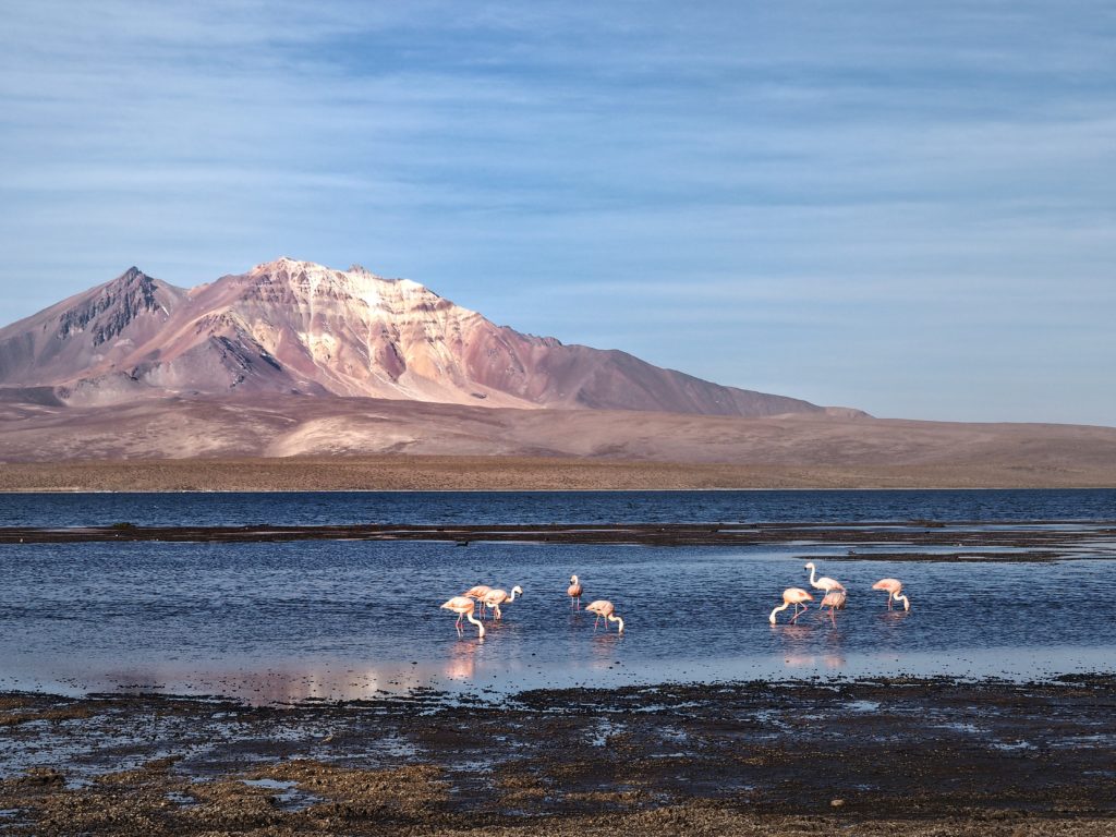 Lago Chungara, Chile