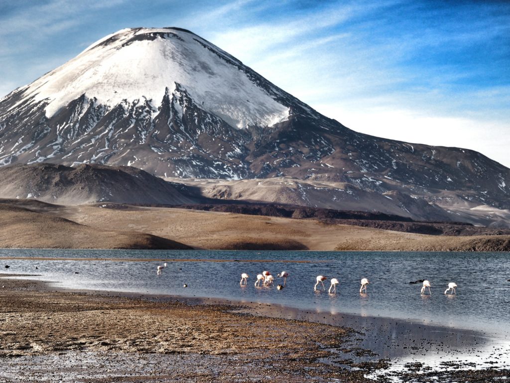 road trip to Lago Chungara, Chile