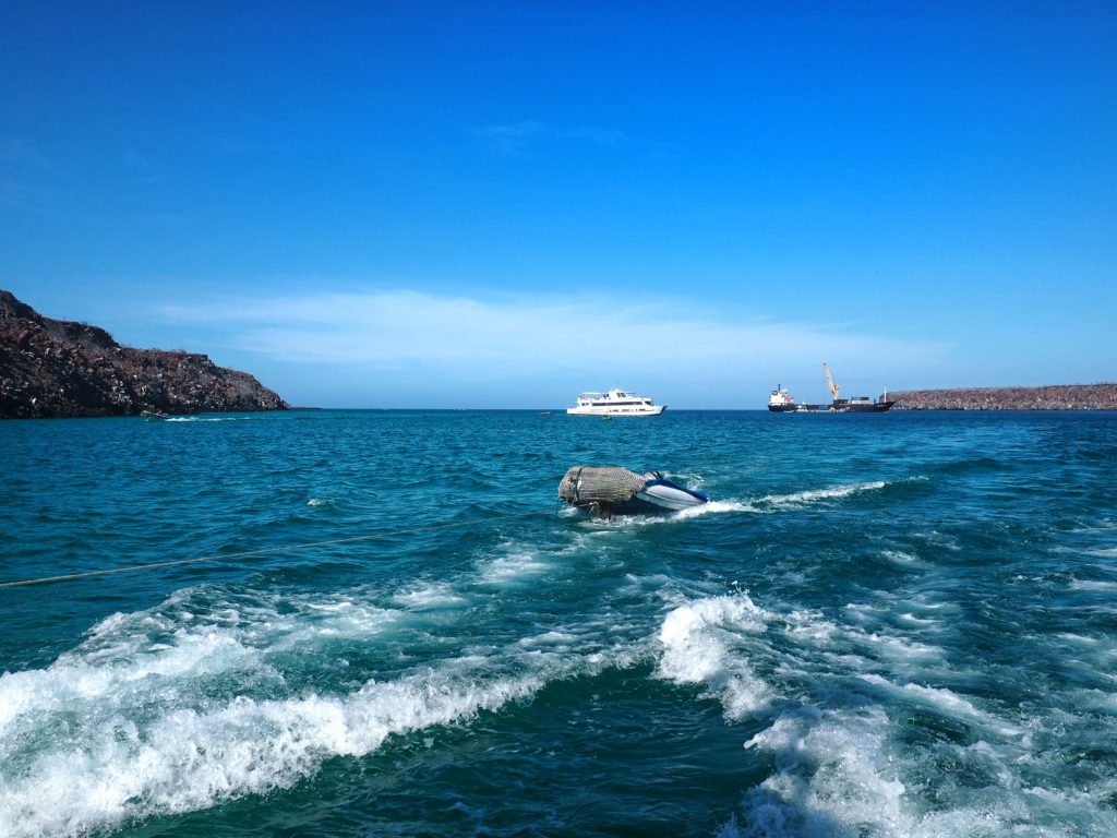 swimming with sharks in galapagos