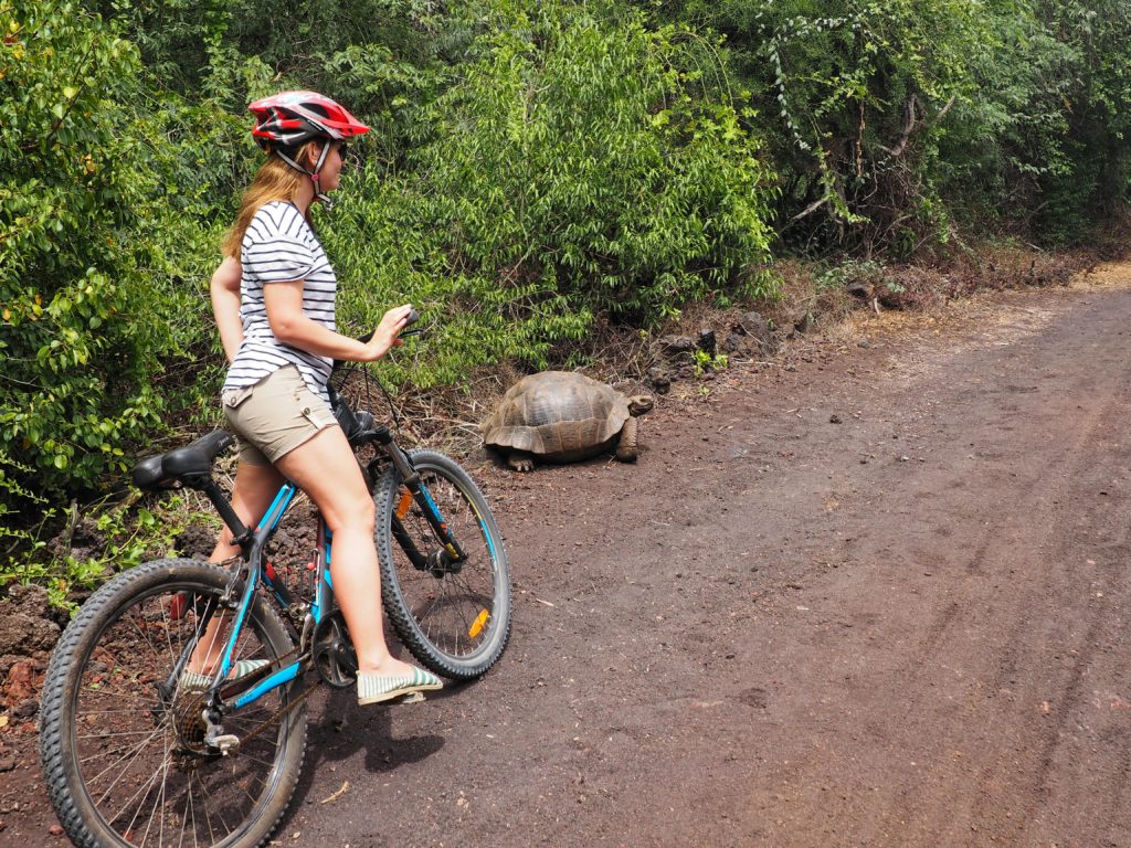 Animals of Galapagos