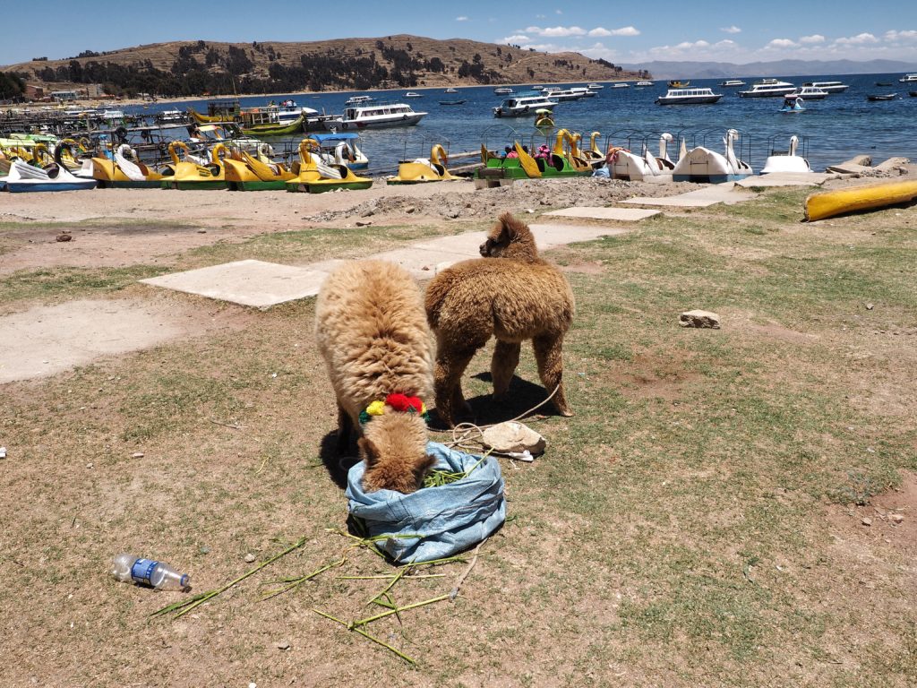 Copacabana, Lake Titicaca, Bolivia