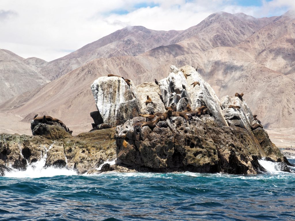 Caleta Buena, Chile