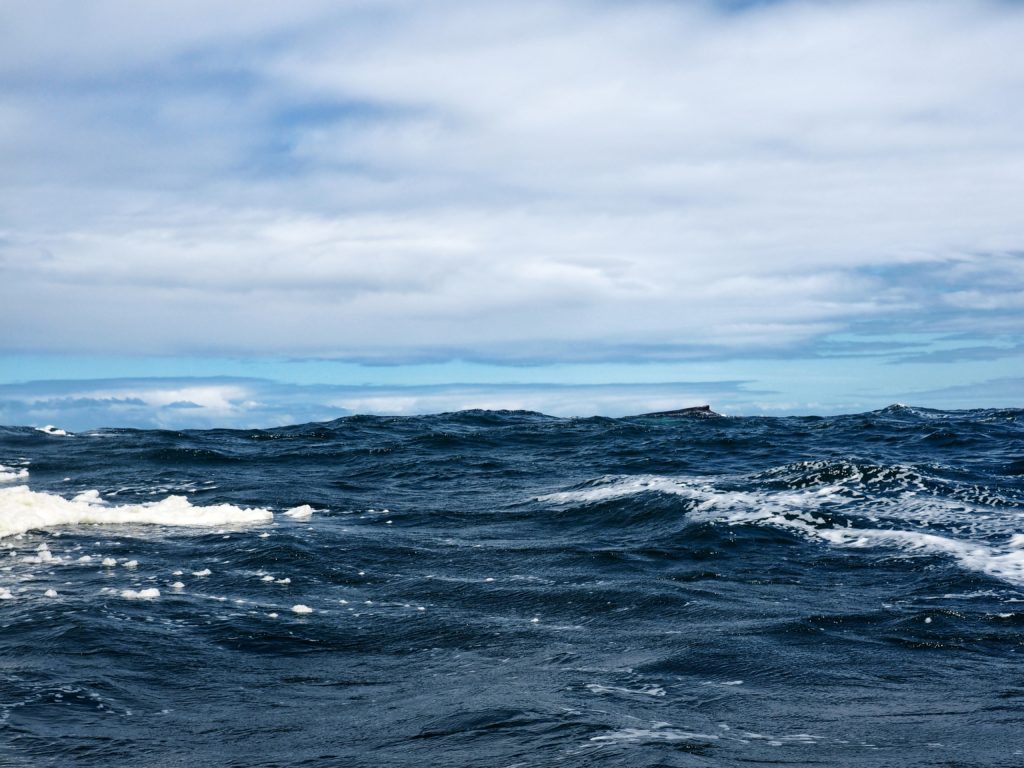 Chiloe Island, Chile whale watching