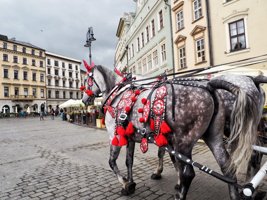 Krakow, Cracow Poland