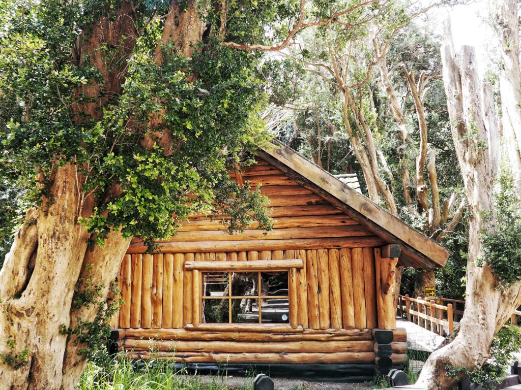 Bosque de Arrayanes, Argentina