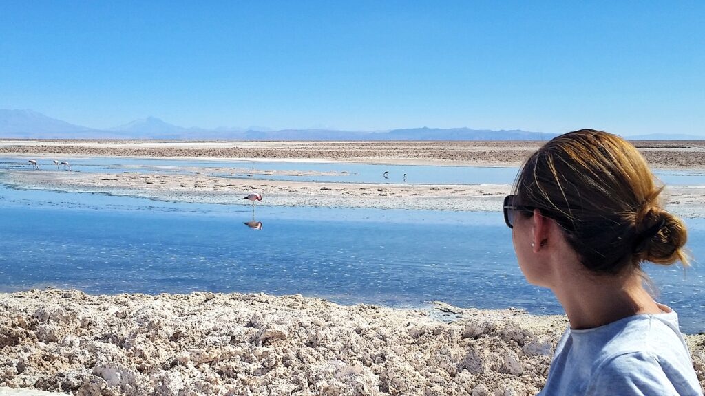 San Pedro de Atacama, lagoon Chaxa, Chile