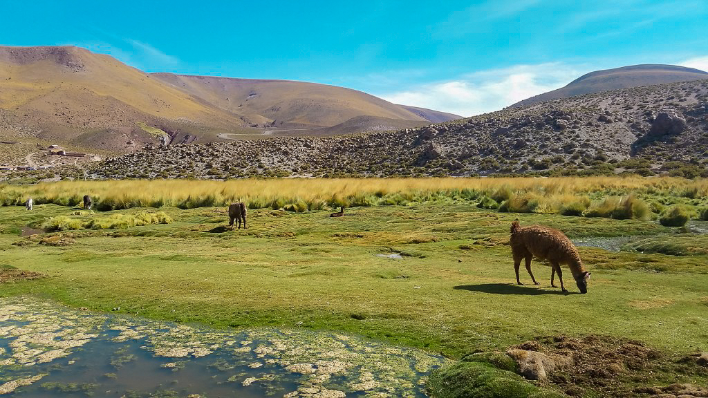 tatio geysers