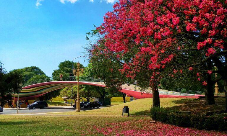 Best parks of Buenos Aires
