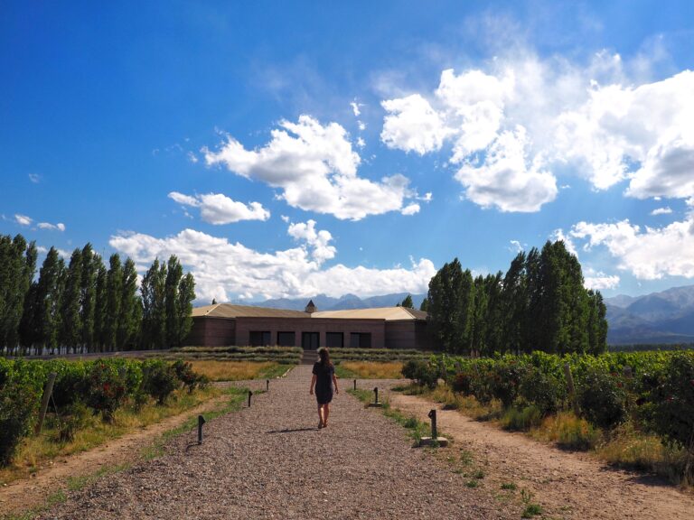 Wine, sun and art. Visiting Mendoza, Argentina.