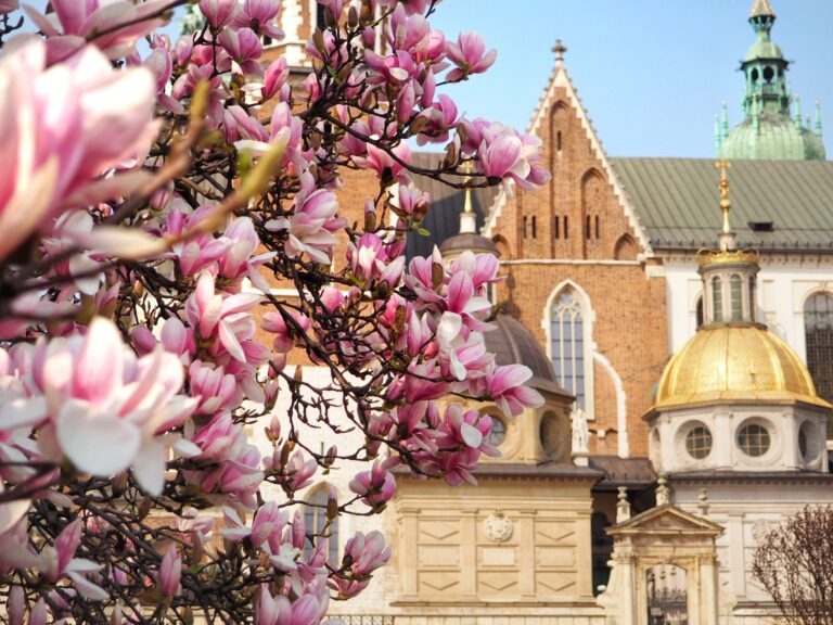 10 charming old cities from around the world