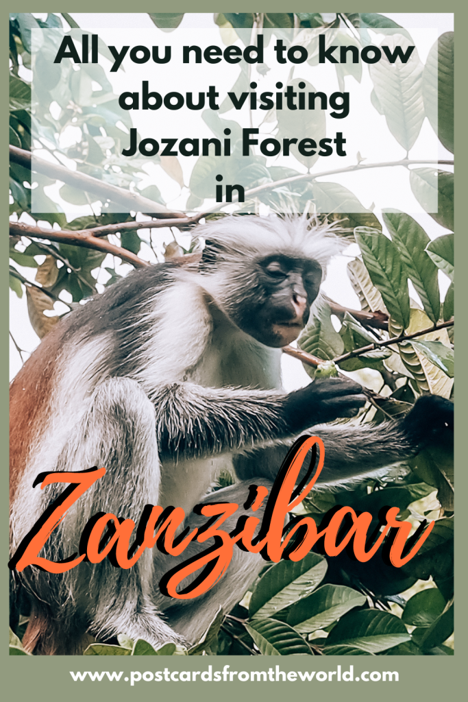 Jozani forest Zanzibar