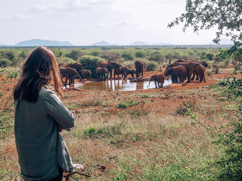 malaria free safari south africa