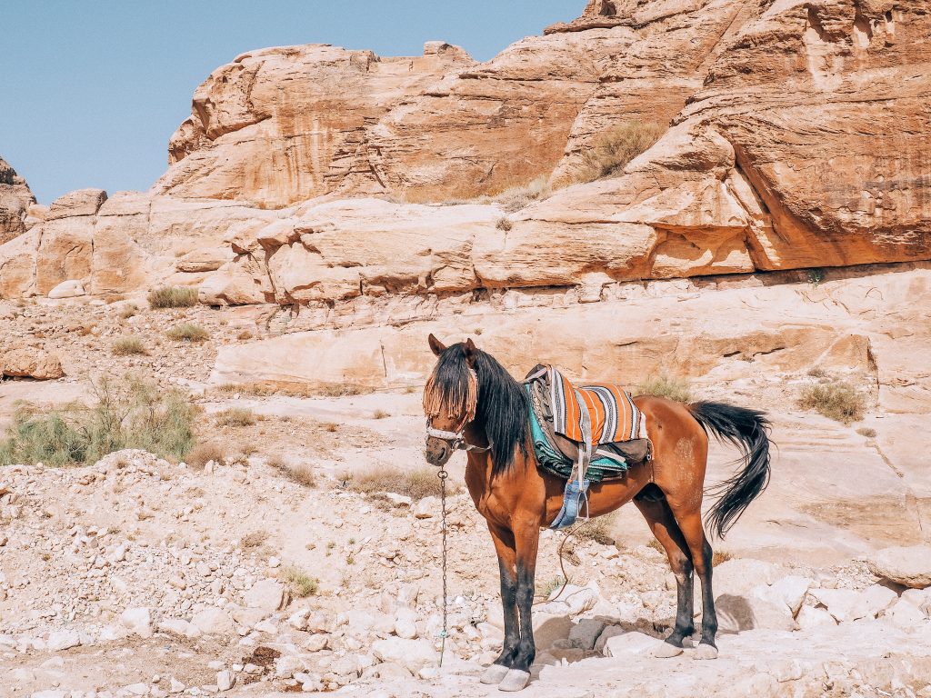 A complete guide to visiting Petra in Jordan.