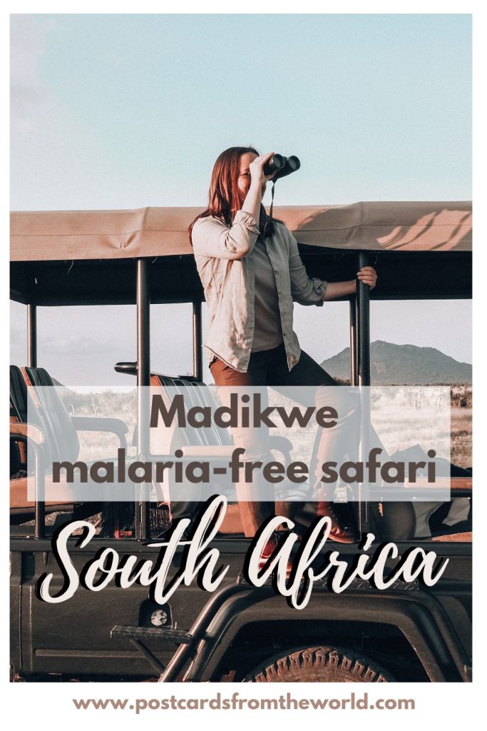 Madikwe malaria free safari South Africa
