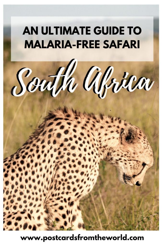 malaria free safari South Africa