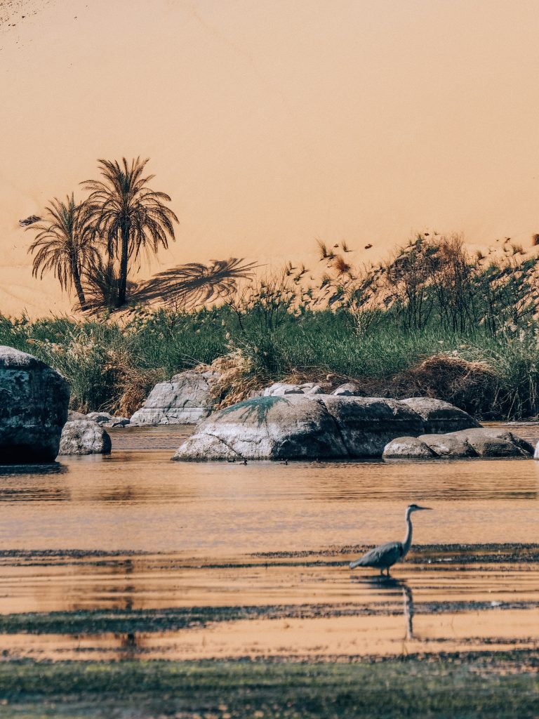 Nile cruise, Aswan