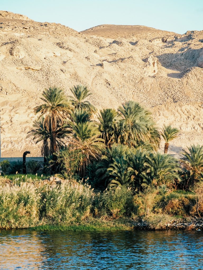 Nile cruise