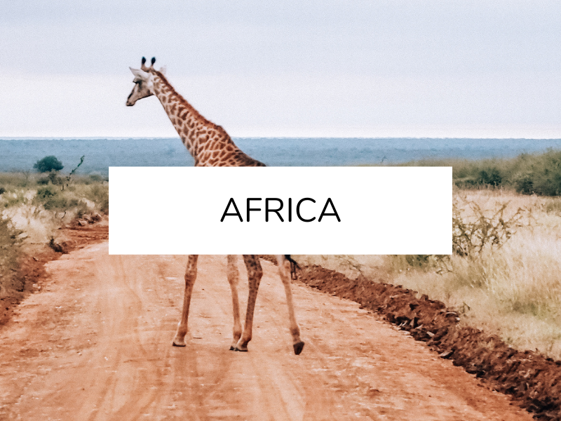 plan a trip to Africa
