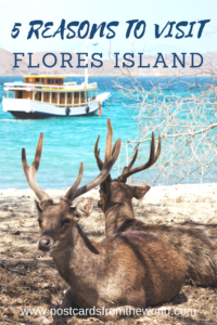 reasons to visit Flores Island, Indonesia