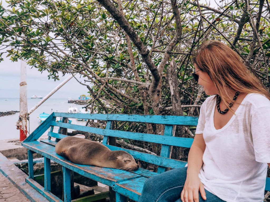 animals of galapagos