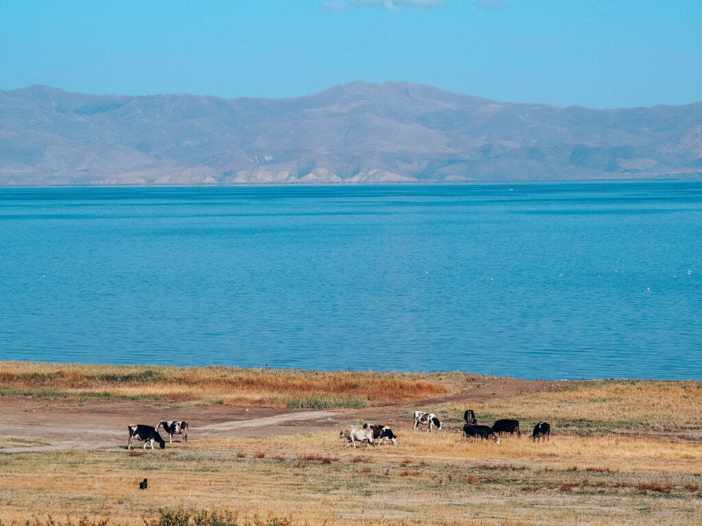 Armenia road trip