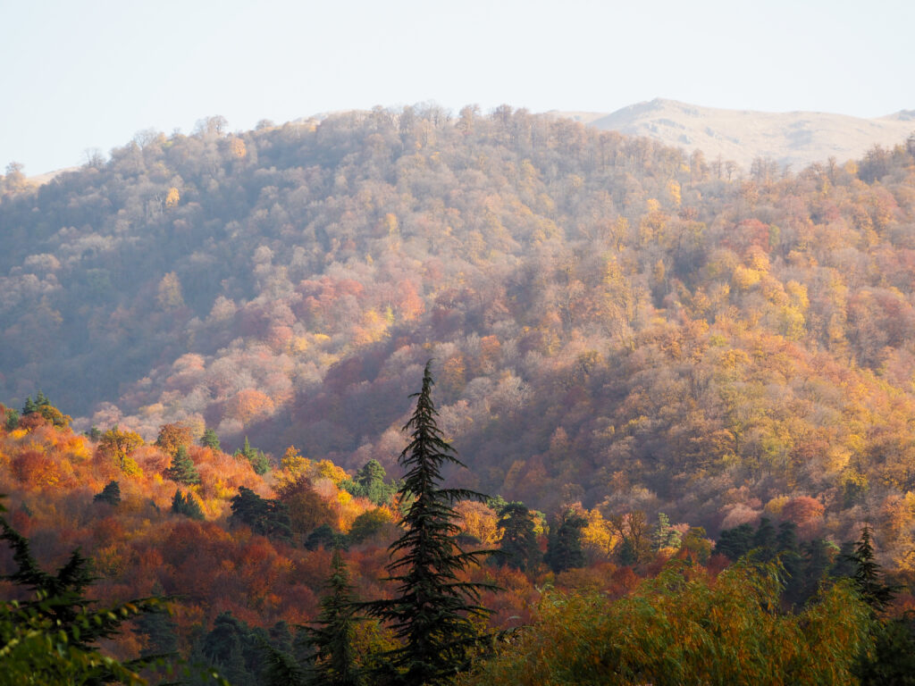 how to prepare for long hikes