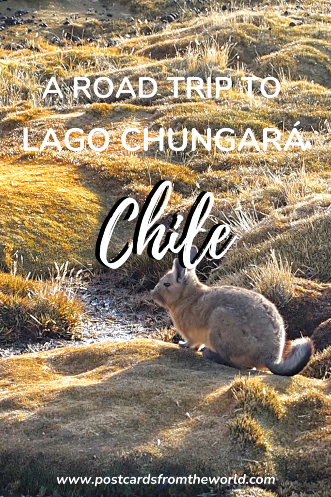road trip to lago chungara