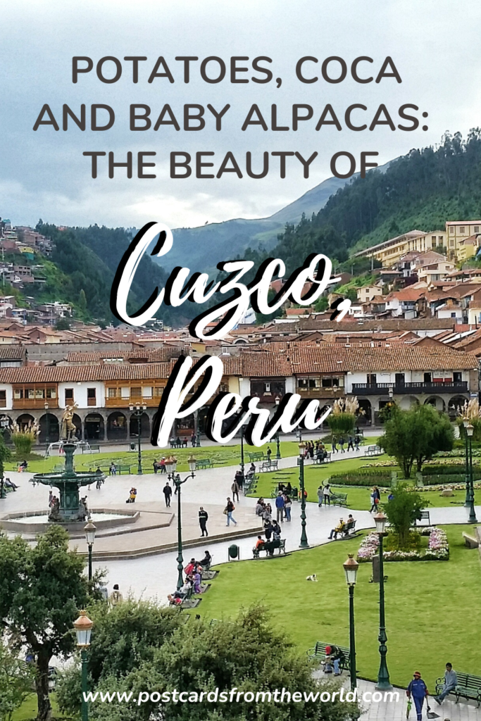 what to do in cuzco